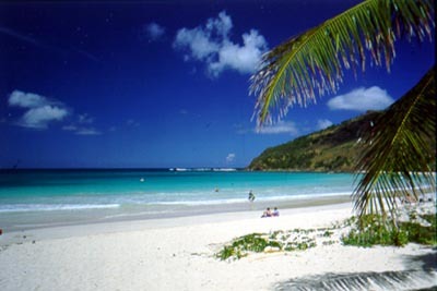 flamencobeachculebra.jpg